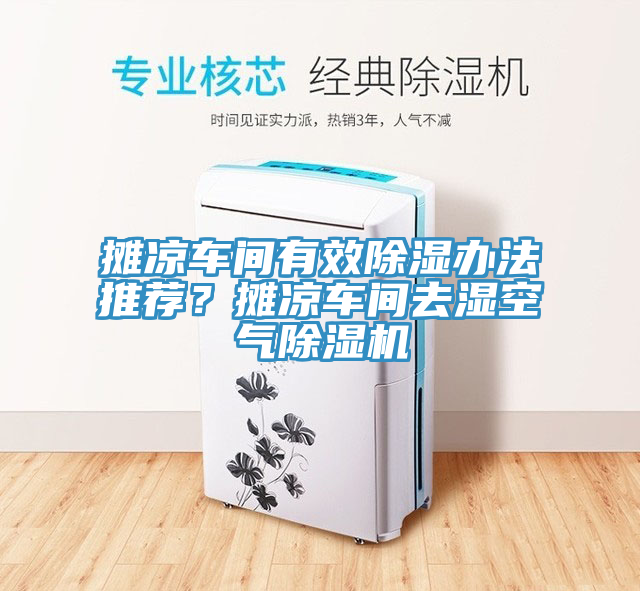 攤涼車間有效除濕辦法推薦?攤涼車間去濕空氣除濕機(jī)