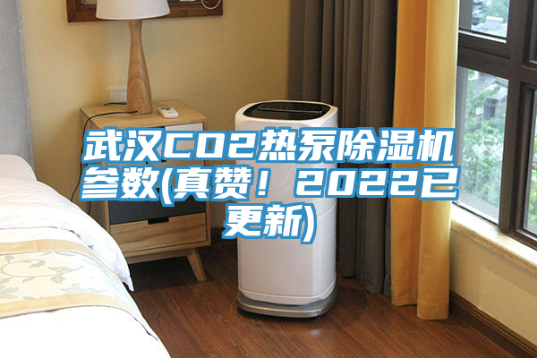 武漢CO2熱泵除濕機參數(真贊!2022已更新)