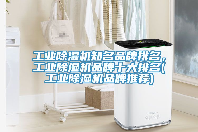 工業除濕機知名品牌排名,工業除濕機品牌十大排名(工業除濕機品牌推薦)