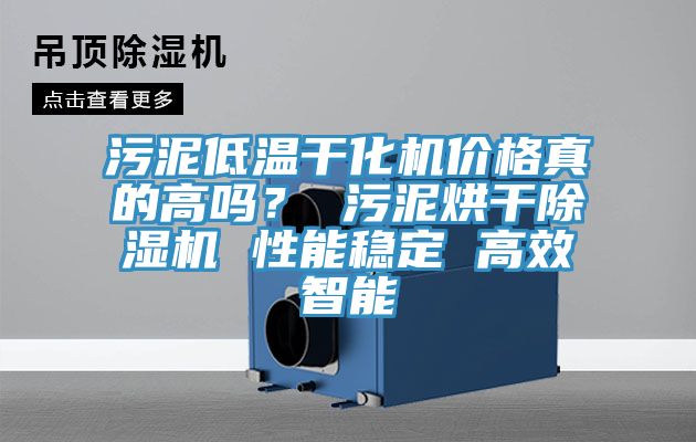 污泥低溫干化機價格真的高嗎? 污泥烘干除濕機 性能穩(wěn)定 高效智能