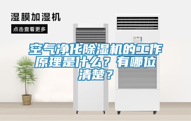 空氣凈化除濕機的工作原理是什么？有哪位清楚？