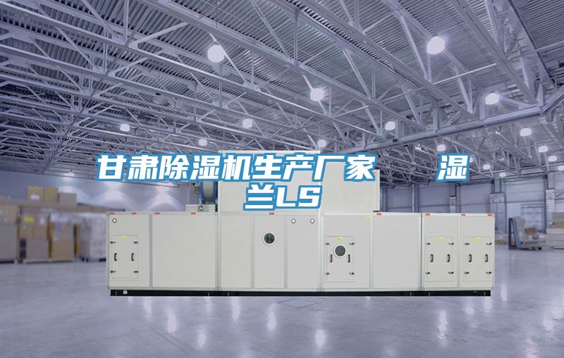 甘肅除濕機(jī)生產(chǎn)廠家 濕蘭LS