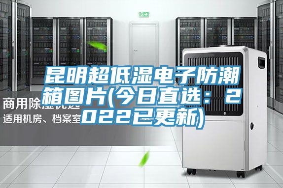 昆明超低濕電子防潮箱圖片(今日直選:2022已更新)