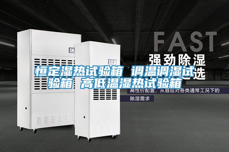 恒定濕熱試驗箱 調溫調濕試驗箱 高低溫濕熱試驗箱