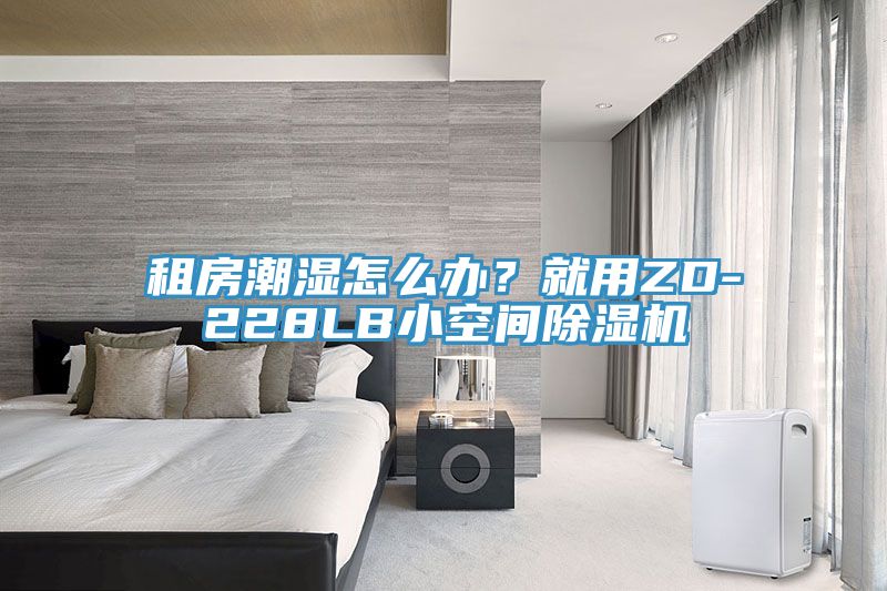 租房潮濕怎么辦？就用ZD-228LB小空間除濕機