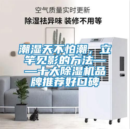 潮濕天不怕潮,立竿見(jiàn)影的方法——十大除濕機(jī)品牌推薦好口碑