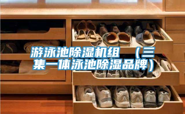 游泳池除濕機組 (三集一體泳池除濕品牌)