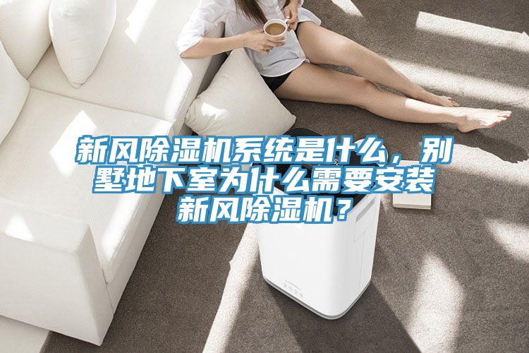 新風除濕機系統是什么,別墅地下室為什么需要安裝新風除濕機?