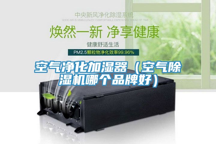 空氣凈化加濕器(空氣除濕機哪個品牌好)