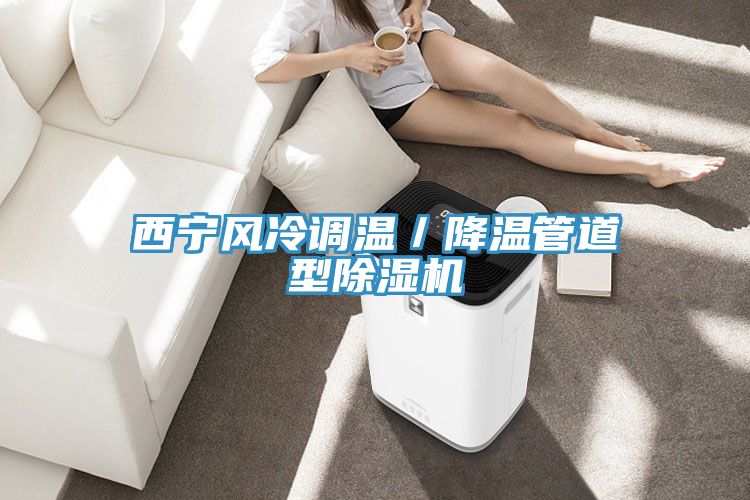 西寧風冷調溫/降溫管道型除濕機