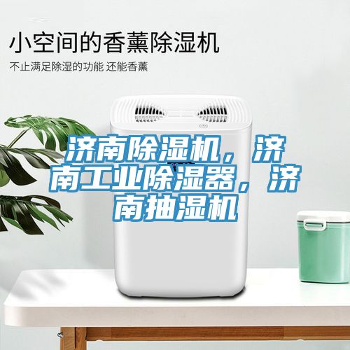 濟南除濕機,濟南工業(yè)除濕器,濟南抽濕機