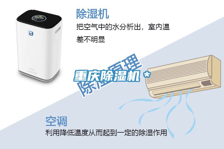 重慶除濕機(jī)*