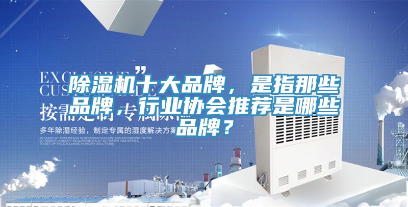 除濕機十大品牌,是指那些品牌,行業協會推薦是哪些品牌?