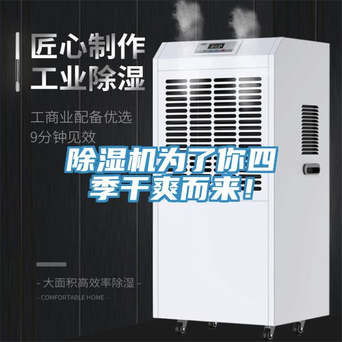 除濕機(jī)為了你四季干爽而來(lái)!