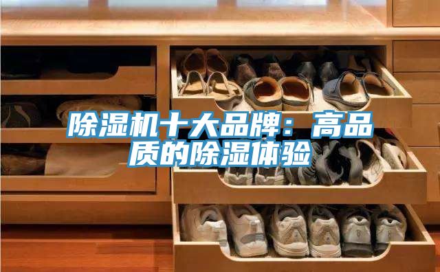 除濕機十大品牌:高品質的除濕體驗