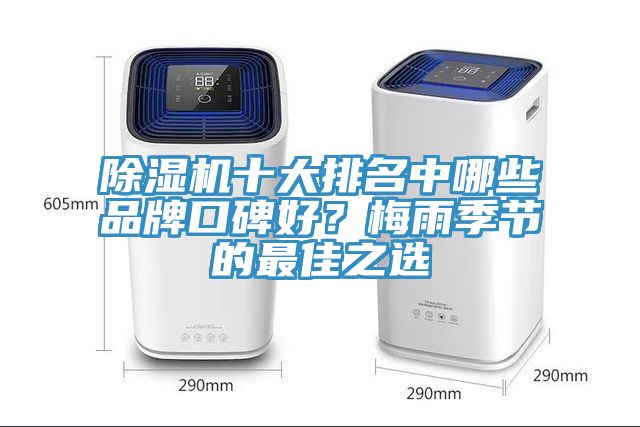 除濕機十大排名中哪些品牌口碑好？梅雨季節的最佳之選