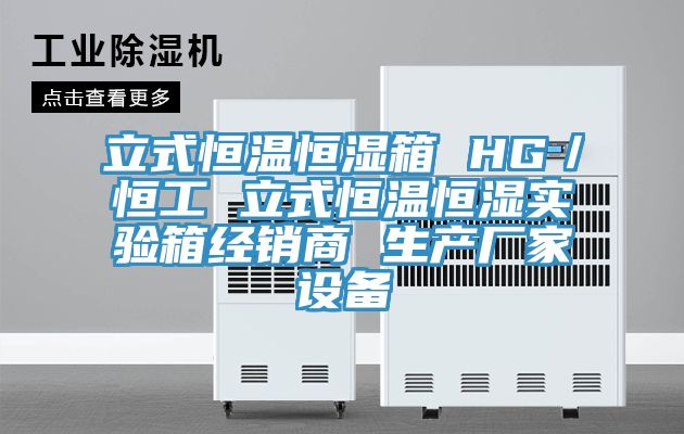 立式恒溫恒濕箱 HG/恒工 立式恒溫恒濕實驗箱經銷商 生產廠家設備
