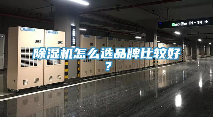除濕機(jī)怎么選品牌比較好？