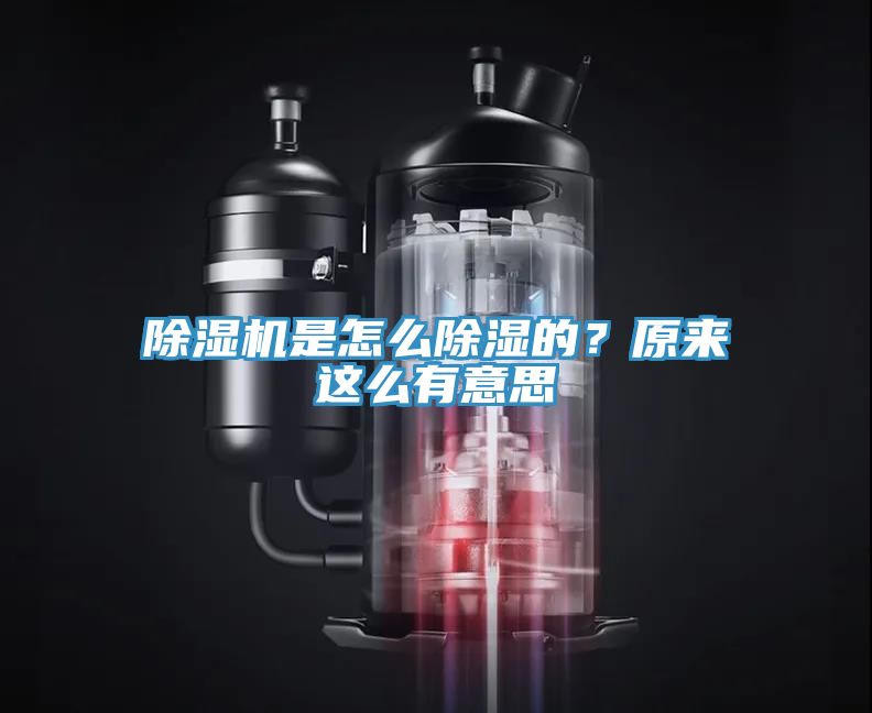 除濕機是怎么除濕的？原來這么有意思