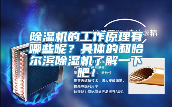 除濕機的工作原理有哪些呢?具體的和哈爾濱除濕機了解一下吧!